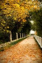 Autumn scenery Royalty Free Stock Photo