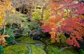 Autumn scenery of a beautiful Japanese garden ~ Aerial view of colorful maple trees in the garden of a famous Buddhist temple in K Royalty Free Stock Photo