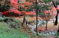 Autumn scenery of beautiful Koishikawa Korakuen Park, a famous traditional Japanese Garden in Tokyo Royalty Free Stock Photo