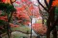 Autumn scenery of beautiful Koishikawa Korakuen Park, a famous traditional Japanese Garden in Tokyo Royalty Free Stock Photo