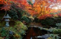 Autumn scenery of beautiful maple trees in a peaceful ambiance with a traditional stone lantern Royalty Free Stock Photo