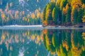 Autumn scenery on Braies Lake, Dolomite Alps, Italy Royalty Free Stock Photo