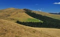 Autumn scenery in Carpathia