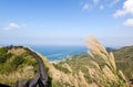 Autumn scenery of the coast of Taiwan