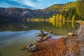 Autumn scenery with colorful forest and Saint Ana lake, Romania Royalty Free Stock Photo