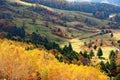 Autumn scenery of colorful forests by the mountainside and green grassy meadows in a valley on a brisk fall day in Shiga Kogen