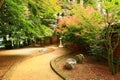 autumn Scenery with colorful Maple trees and path and rocks in the park