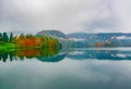 Autumn scenery of colorful trees reflected in lake water, Bled Lake, Slovenia