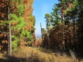 Autumn scenery, east central Oklahoma Royalty Free Stock Photo