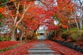 Autumn scenery at the entrance Sandou to Bishamon Hall Bishamondo Royalty Free Stock Photo