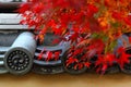 Autumn scenery of fiery maple foliage over the eave of traditional Japanese tiles in Tenryu-ji