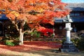 Autumn scenery of a fiery maple tree under bright sunshine in the courtyard of Genkoan Temple in Kyoto