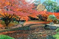 Autumn scenery of fiery maple trees with fallen leaves by a lake & a stone bridge over the pond in Koishikawa Korakuen