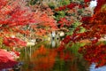 Autumn scenery fiery maple trees reflected on the peaceful lake water and a wooden bridge over the pond in a beautiful Japanese ga Royalty Free Stock Photo