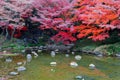 Autumn scenery of fiery maple trees by a shallow pond with pebbles in the quiet water under bright sunshine in Koishikawa Korakuen Royalty Free Stock Photo