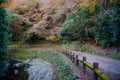 Autumn scenery forest at Minoo waterfall, Osaka, Japan Royalty Free Stock Photo