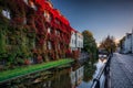 The autumn scenery of Gdansk at sunrise with a wall covered with red ivy leaves. Poland Royalty Free Stock Photo