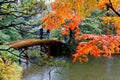 Autumn scenery of a Japanese garden in Katsura Imperial Villa Royal Park in Kyoto Japan Royalty Free Stock Photo