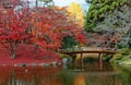 Autumn scenery of a Japanese garden in Sento Imperial Palace Royal Park in Kyoto, Japan Royalty Free Stock Photo