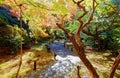 Autumn scenery of a Japanese garden in Shoren-In, a famous Buddhist temple  in Kyoto Royalty Free Stock Photo