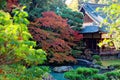 Autumn scenery of a Japanese garden in Shoren-In, a famous Buddhist temple in Kyoto Japan Royalty Free Stock Photo
