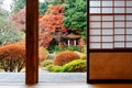 Autumn scenery of a Japanese pavilion among fiery maple trees in a beautiful courtyard garden