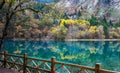 Autumn scenery of Jiuzhaigou