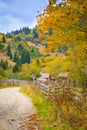 Autumn scenery landscape with colorful forest, wood fence and rural road in Prisaca Dornei Royalty Free Stock Photo