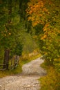 Autumn scenery landscape with rural road, colorful forest, wood fences and hay barns in Bucovina Royalty Free Stock Photo