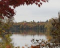 Autumn scenery. Landscape of scenery of autumn. Lake, multicolred trees. Picture. Photo. Image. Portrait