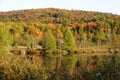 Autumn scenery landscape stock photos.  Autumn scenery multicolor trees background by the river.  Image. Picture Royalty Free Stock Photo