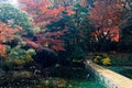 Autumn scenery of maple trees with fiery foliage and a pathway by a pond leading into the forest in Koishikawa Korakuen