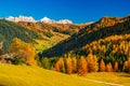 Autumn scenery with mountain hills and yellow trees illuminated by sun. Alta Badia, Dolomite Alps, Italy