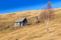 Autumn scenery in the mountains