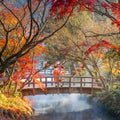 Japanese Geisha Girls in a Traditional Kimono Dress stroll in Autumn Scenery in a Park in the Famous Yufuin Resort Town Royalty Free Stock Photo
