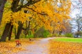 Autumn scenery with red benches in the park Royalty Free Stock Photo