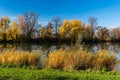 Autumn scenery with reeds, pond, colorful trees and blue sky
