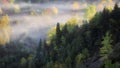 Autumn scenery of Rogue River Valley in the early morning with fog and mist Royalty Free Stock Photo