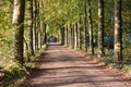 Autumn scenery of rural lane Royalty Free Stock Photo