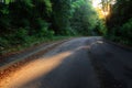 Autumn scenery of rural road in the deciduous forest on a foggy morning Royalty Free Stock Photo