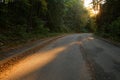 Autumn scenery of rural road in the deciduous forest on a foggy morning Royalty Free Stock Photo