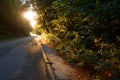 Autumn scenery of rural road in the deciduous forest on a foggy morning Royalty Free Stock Photo