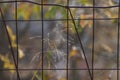 Autumn scenery with rustic fence tall prairie grass Royalty Free Stock Photo