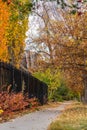Autumn scenery on the sidewalk in a residential area Royalty Free Stock Photo