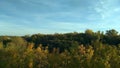 Autumn scenery.Spring forest landscape with the ground full