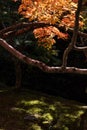 Autumn Scenery of Tsutenkyo Bridge in Tofukuji Temple