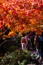 Autumn Scenery of Tsutenkyo Bridge in Tofukuji Temple