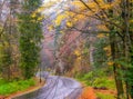 Autumn scenery of winding road among colorful trees in Ojcow National Park, Poland Royalty Free Stock Photo