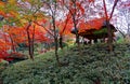 Autumn scenery of a wooden gazebo covered by a thatched roof under fiery maple trees in the beautiful forest of Rikugi-en Park Royalty Free Stock Photo