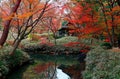 Autumn scenery of a wooden pavilion covered with a thatched roof hidden in a forest of fiery maple trees in Rikugi-en Park Royalty Free Stock Photo